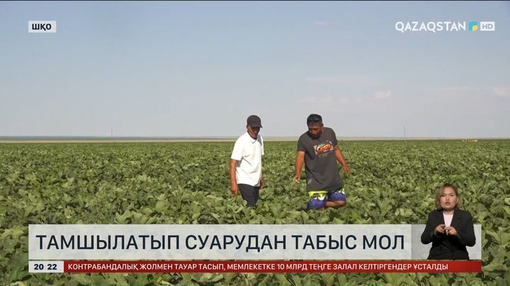ШҚО-да шаруалар су тапшылығынан жерді толық иегере алмай отыр
