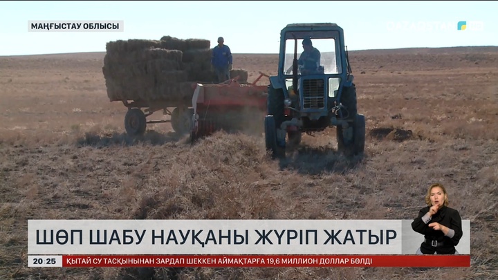 Маңғыстау облысында шөп шабу науқаны жүріп жатыр