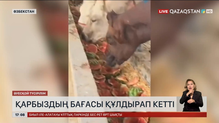 Өзбекстанда қарбыздың бағасы құлдырап кетті