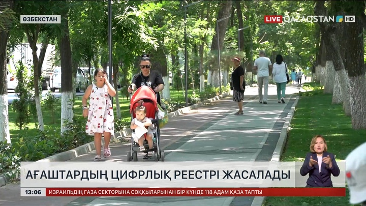Ташкентте ағаштардың цифрлық реестрін құра бастады