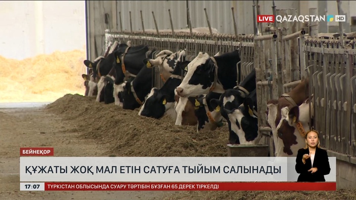 Елімізде құжаты жоқ мал етін сатуға тыйым салынады