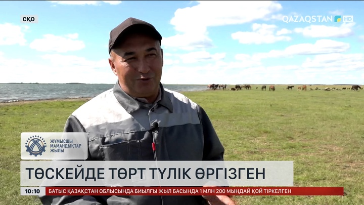 Еңбек адамы: Азамат Асқарбеков 20 жылдан астам мал шаруашылығымен айналысады