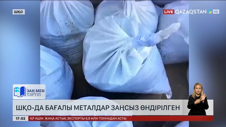 ШҚО-да заңсыз алтын өндіргендер ұсталды