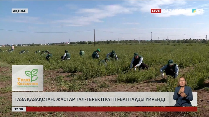 Ақтөбеде жастар тал-теректі күтіп-баптауды үйренді