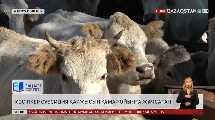 Жетісу облысында кәсіпкер субсидия қаржысын құмар ойындарға жұмсаған