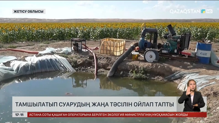 Жетісулық диқан дронмен егін өсіріп отыр