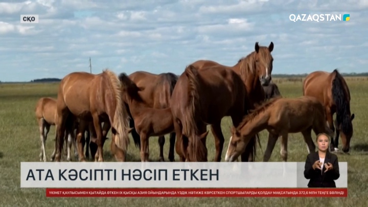 Ата кәсіпті нәсіп еткен