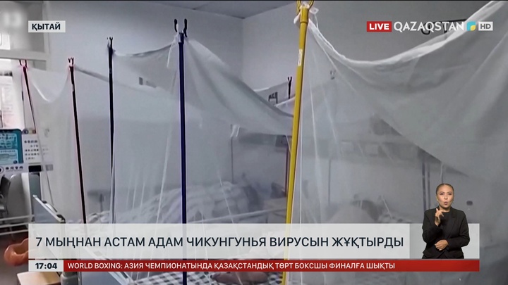 Қытайда 7 мыңнан астам адам чикунгунья вирусын жұқтырды