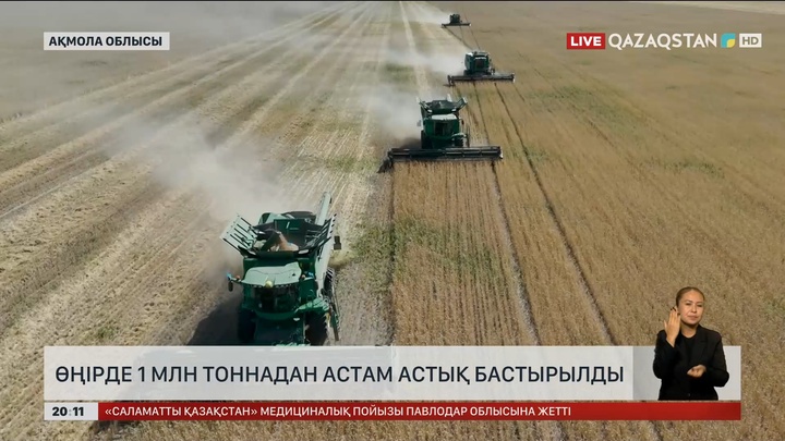 Ақмола облысында 1 млн тоннадан астам астық бастырылды