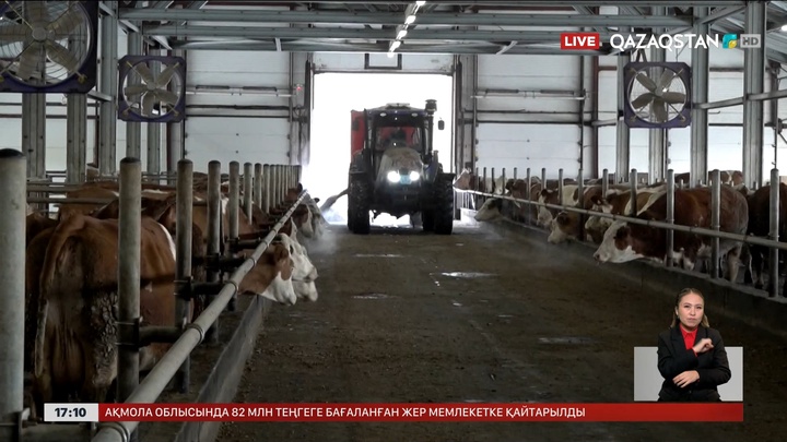 Түркістан облысында ₸271 млн субсидияны жымқырғандар сотталды