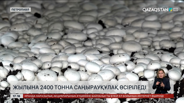 Кәсіпкерлерге салық реформасы түсіндірілді