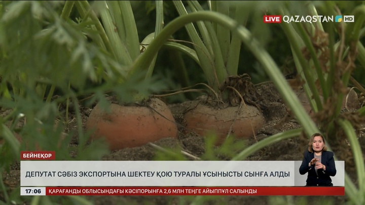 Депутат: Сәбіз экспортын шектемеу керек