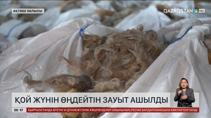  Ақтөбеде қой жүнін өңдейтін зауыт ашылды