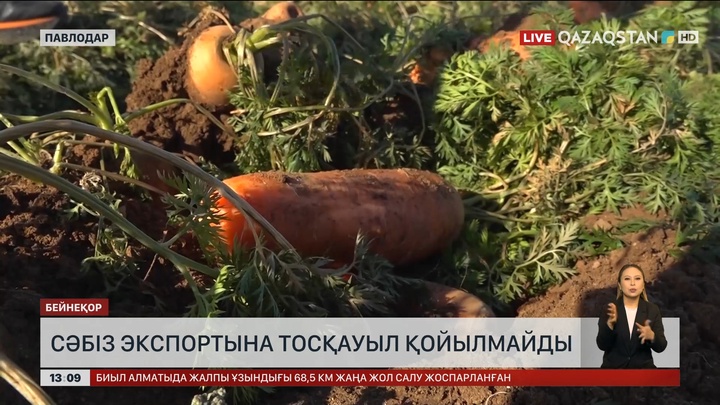 Сәбіз экспортына тосқауыл қойылмайды