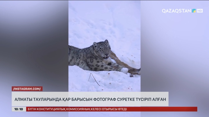 Алматы тауларында қар барысын фотограф суретке түсіріп алған  