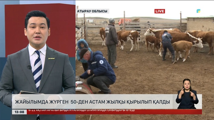 Атырау облысында жылқы қырылып қалды