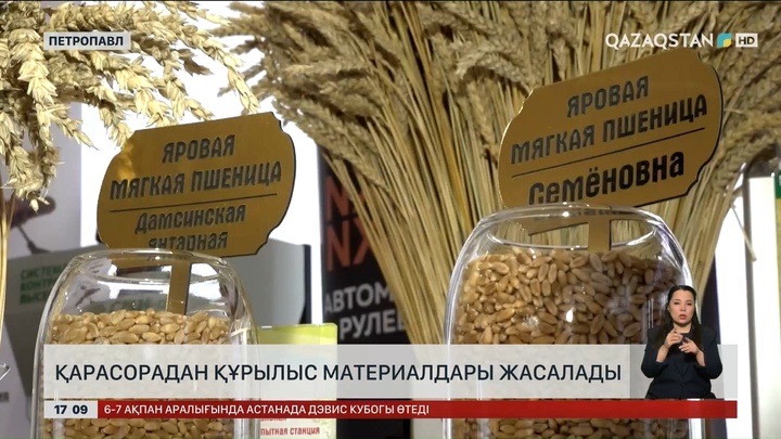 Құрылыс материалдарын қарасорадан жасап көрмек