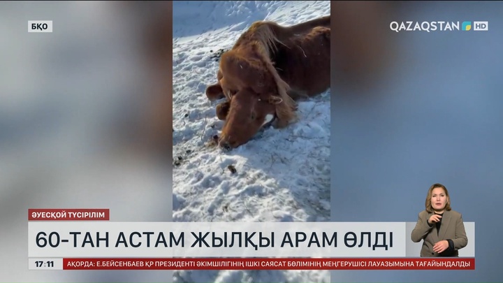 БҚО-да алпыс жылқы арам өлді