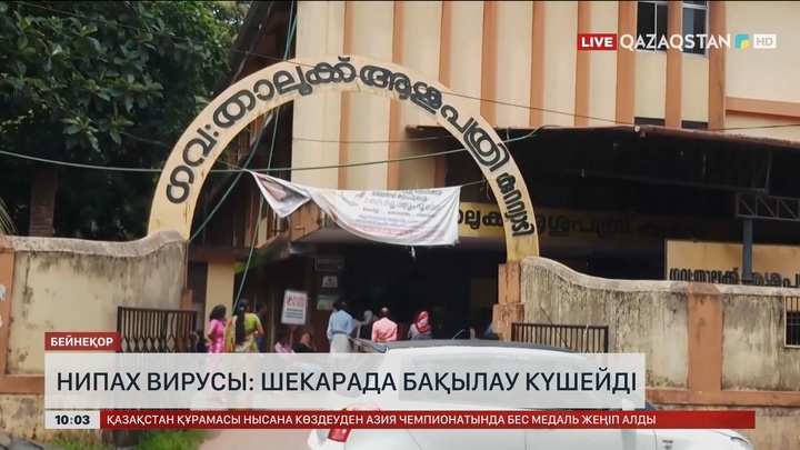 Нипах вирусы: Шекарада бақылау күшейді