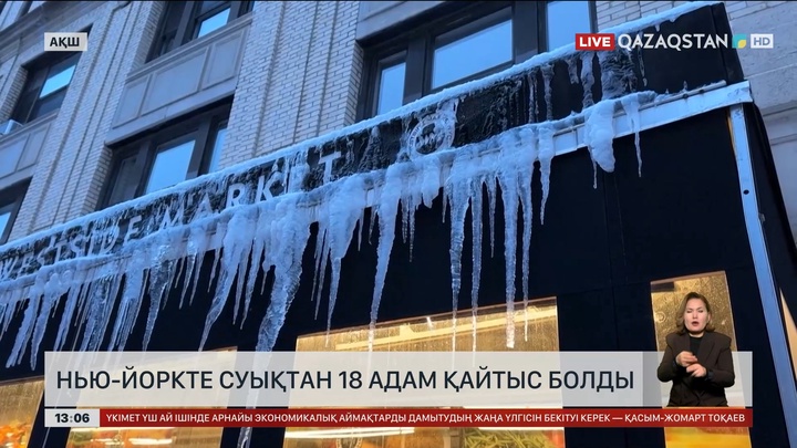 Нью-Йорктегі суықтан 18 адам қайтыс болды