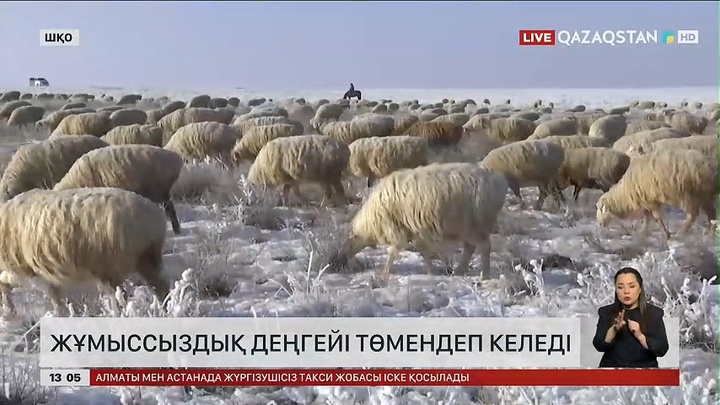 ШҚО-да жұмыссыздық деңгейі төмендеп келеді