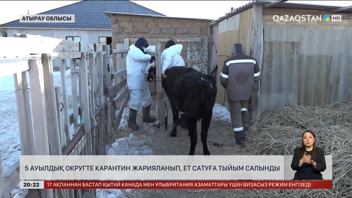 Атырау облысында 5 ауылдық округте карантин жарияланып, ет сатуға тыйым салынды