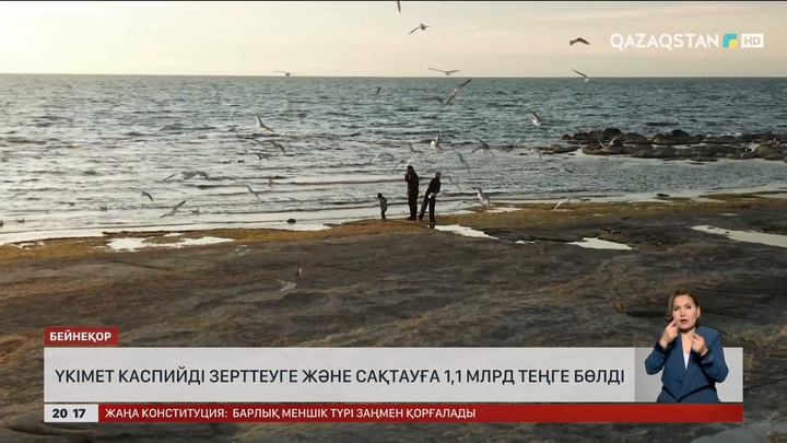 Үкімет Каспийді зерттеуге және сақтауға 1,1 млрд теңге бөлді