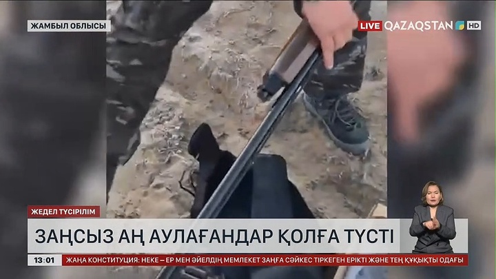 Жамбыл облысында арқар мен қарақұйрық атқандар ұсталды