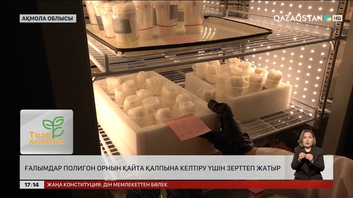 Ақмолалық ғалымдар полигон орнын қайта қалпына келтіру үшін зерттеп жатыр