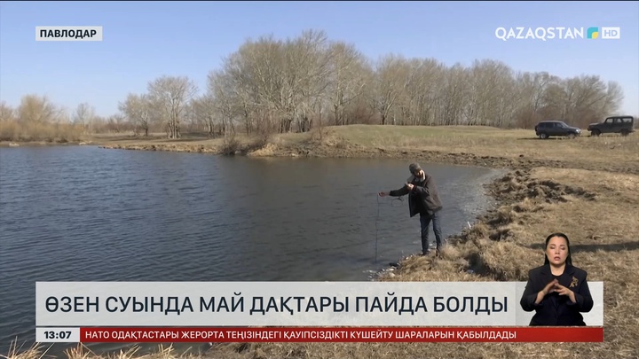 Ертіс өзенінде майлы дақтар пайда болған