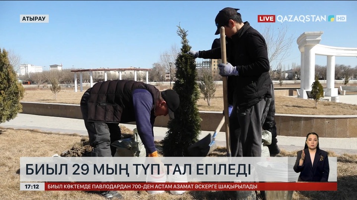 Атырау облысына биыл 29 мың түп тал егеді