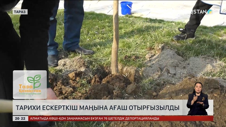 Тарихи ескерткіш маңына ағаш отырғызылды