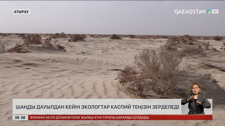 Шаңды дауылдан кейін экологтар Каспий теңізін зерделеді