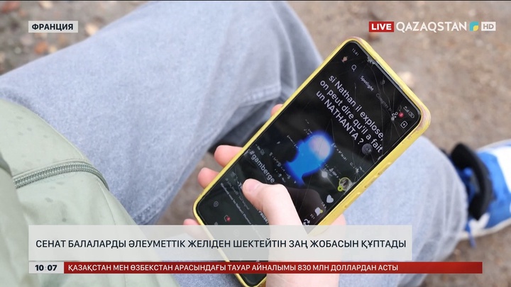 Францияда 15-ке толмаған балаларға әлеуметтік желіні шектеу туралы заң қабылданады