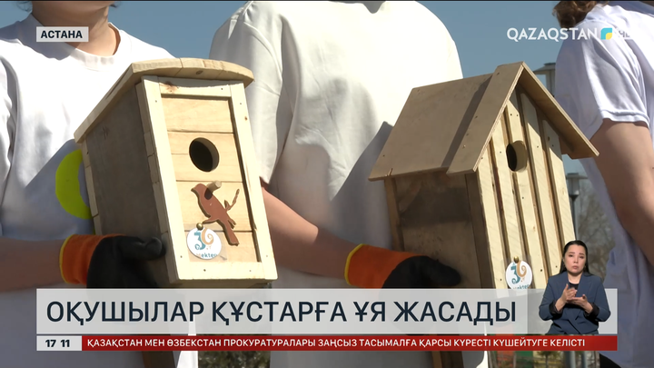 Астаналық оқушылар құстарға ұя жасады