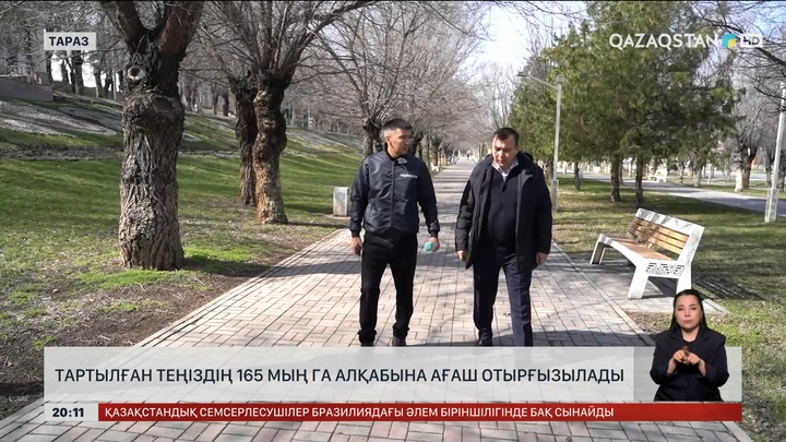 Тартылған теңіздің 165 мың га алқабына ағаш отырғызылады