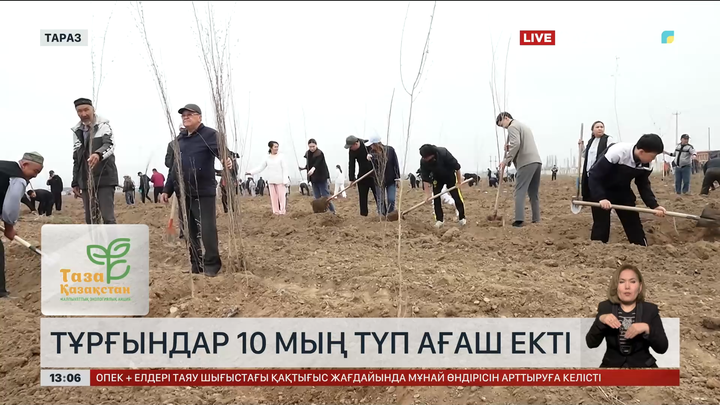 Тараздықтар 10 мың түп ағаш екті