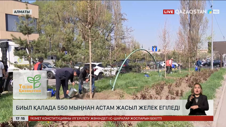 Биыл Алматыға 550 мың түрлі ағаш егеді