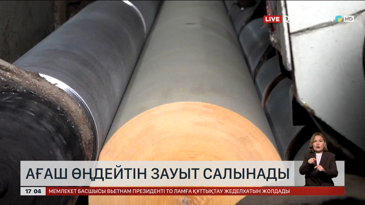 СҚО-да ағаш өңдейтін зауыт салынады