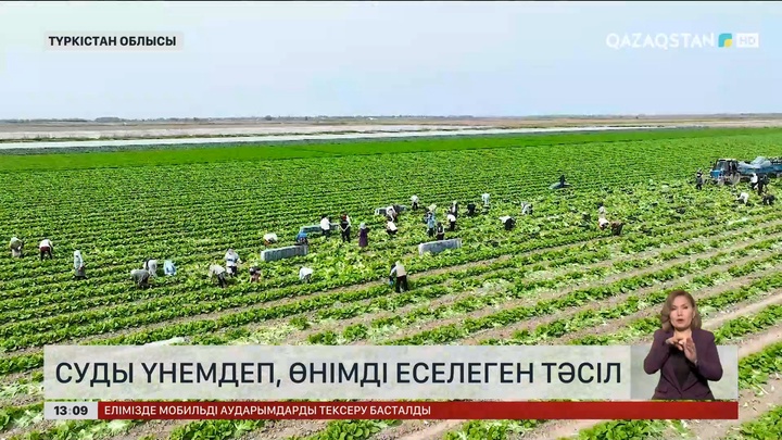 Суды үнемдеп, өнімді еселеген тәсіл