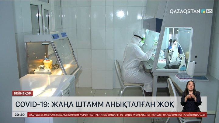   Covid-19: Жаңа штамм анықталған жоқ 