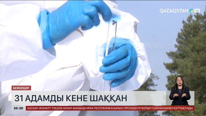  Қостанай облысында 31 адамды кене шаққан