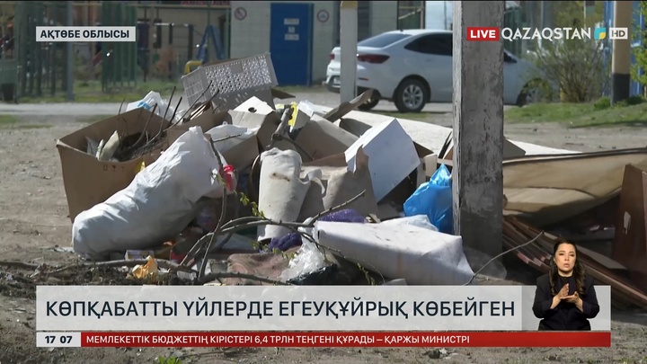 Ақтөбе облысының Алға қаласында егеуқұйрық қаптап кетті