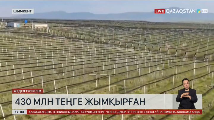 Шымкентте ₸430 млн жымқырған күдікті қамалды