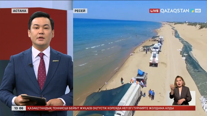 Қара теңізге мазут төгіліп, құстар қырылды