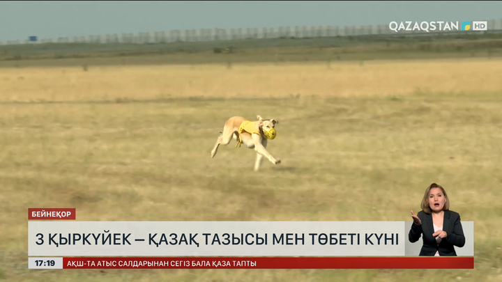 3 қыркүйек – қазақы тазы мен төбет күні