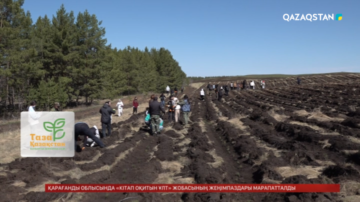 Ақмола облысында 40 мың түп қылқан жапырақты ағаш отырғызылды