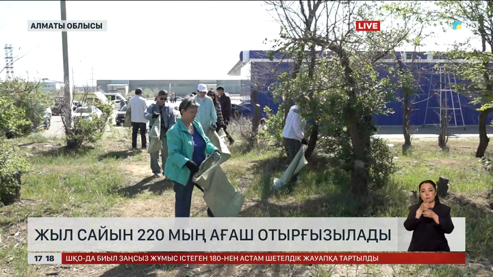 Алматы облысында жыл сайын 220 мың тал егетін болды