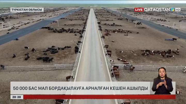 50 000 бас мал бордақылауға арналған кешен ашылды