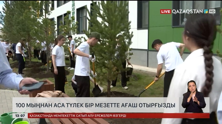 Бүгін ел бойынша 100 мыңнан аса түлек ағаш екті